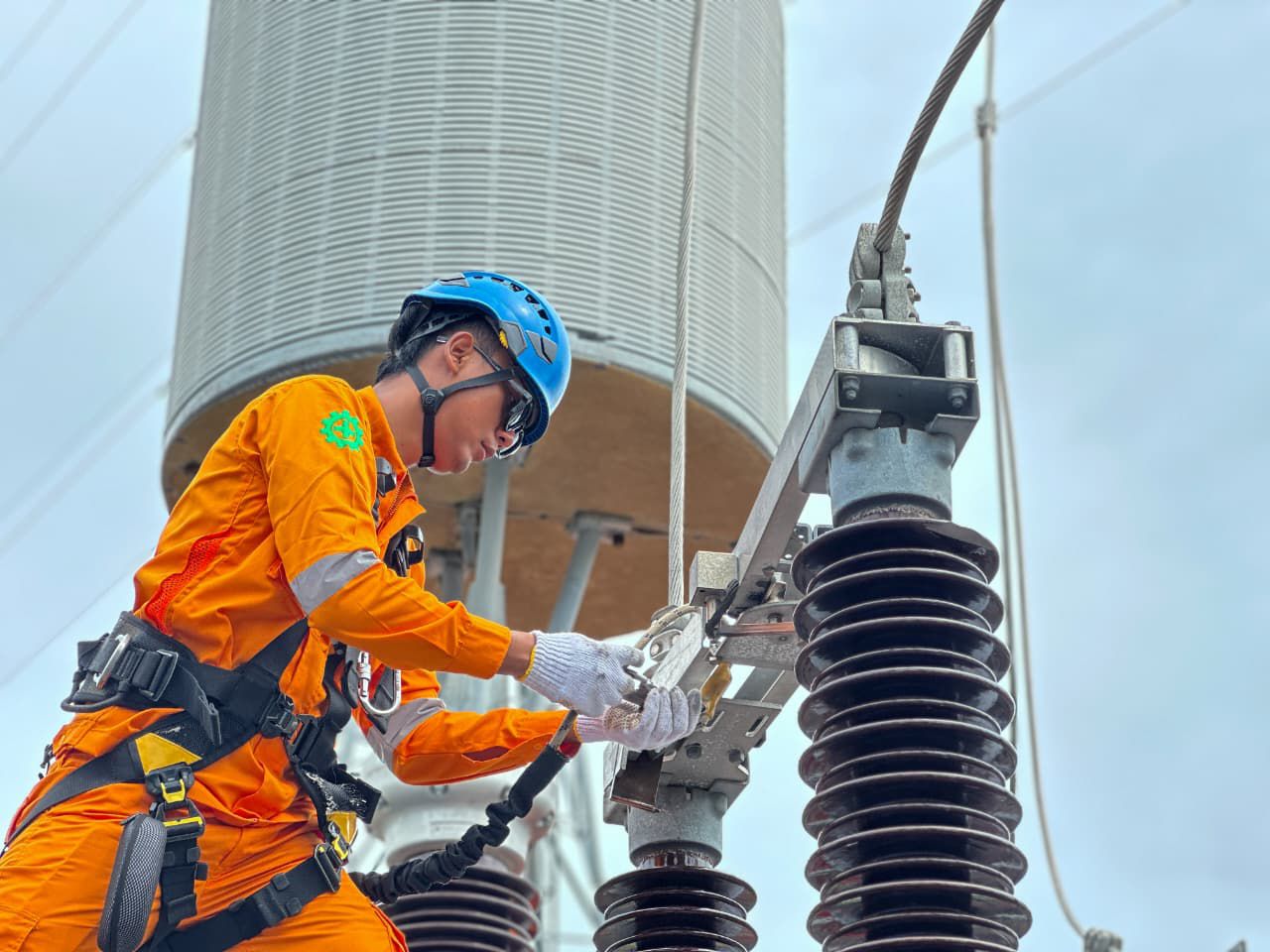 WhatsApp Image 2026-03-15 at 20.55.45(1)